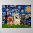 Recherche de terrier cairn posters Animaux domestiques