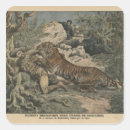 Search for wound stickers Male