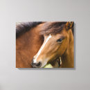 Recherche de ranch art Cheval