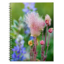 Search for chuck notebooks Glacier national park