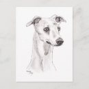 Recherche de whippet cartes postales Animal