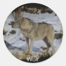 Search for snow wolf stickers Wolves
