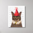 Search for tortoiseshell cat Cute pets