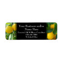 Recherche de de fines herbes Nature