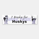 Search for husky bumper stickers Cute
