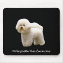 Recherche de bichon électronique Animaux familiers