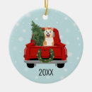 Search for akita ornaments Pet