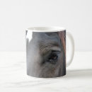 Search for percheron mugs Horse