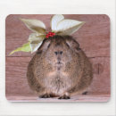 Search for cavy mousepads Rodent