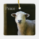 Search for peace ornaments Animal