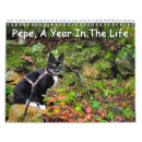 Search for year calendars Cat