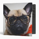 Search for 2015 avery binders Baby animals