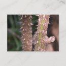 Search for plant business cards Nature