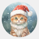 Search for cat in winter stickers Kitten