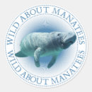 Search for manatee stickers Wildlife