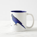 Recherche de perroquets tasses Macaw