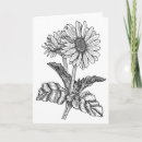 Search for gerbera daisy colours cards Floral