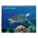 Search for sea turtle calendars Ocean