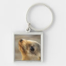 Search for sea lion keychains Mammal