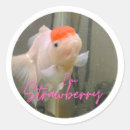 Search for goldfish stickers Fishbowl