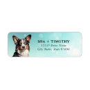 Search for welsh corgi return address labels Corgis