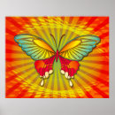 Search for psychedelic butterfly posters Butterflies