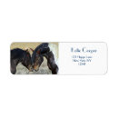 Search for paint horse return address labels Horses