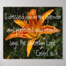 Search for tiger lily art Wildflowers