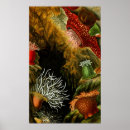 Recherche de dix huit posters Nature