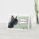 Search for in french congratulations cards Frenchie