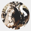 Search for hunter jumper stickers Ponies