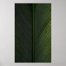 Search for pinstripes posters Pattern