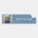 Search for bulls bumper stickers Apbt