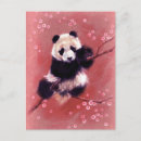 Search for panda postcards Fluffy