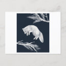 Search for arctic fox postcards Deer
