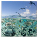Search for safari tiles Tropical