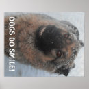 Recherche de de berger allemand art Animaux domestiques
