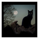 Search for cat full moon posters Night