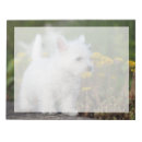 Recherche de westie blocsnotes Animal