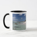 Search for cozumel mugs Ocean