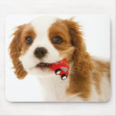 Recherche de roi tapis souris Rouge