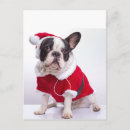 Recherche de frenchie noir cartes postales Animal