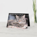 Search for insulting postcards Insults