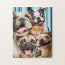 Search for funny cat pictures puzzles Pet
