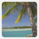 Search for fiji island stickers Aqua