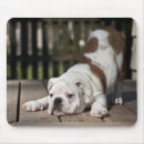 Search for stretch mousepads Dog
