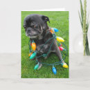 Search for bff christmas cards Funny