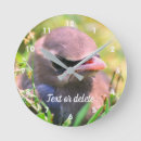 Recherche de oiseau jaune horloges Nature