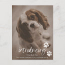 Search for welcome baby postcards Introducing