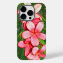 Recherche de plumeria coques Fleurs